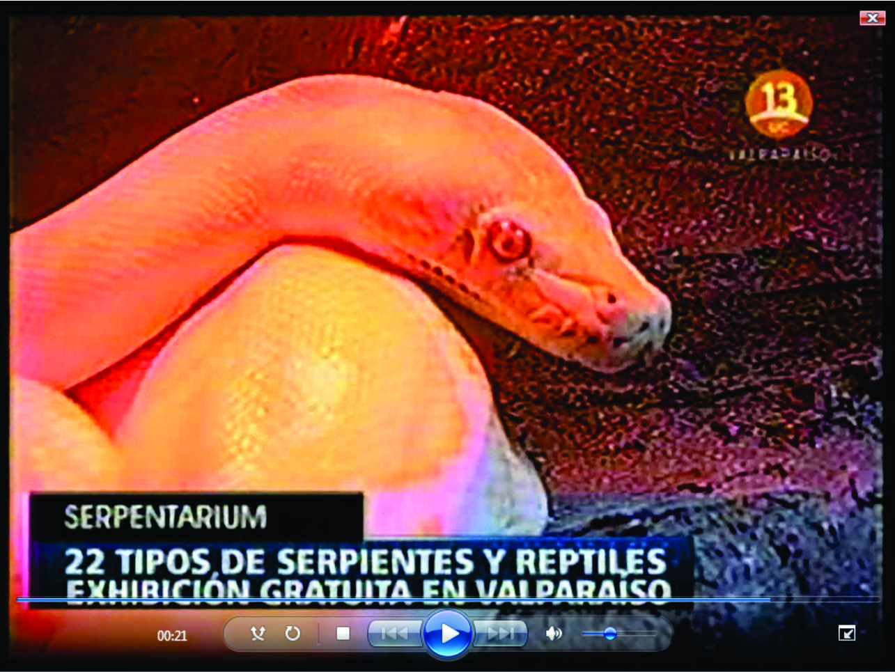serpentarium